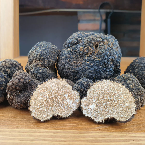 Truffle hunting experience for small groups