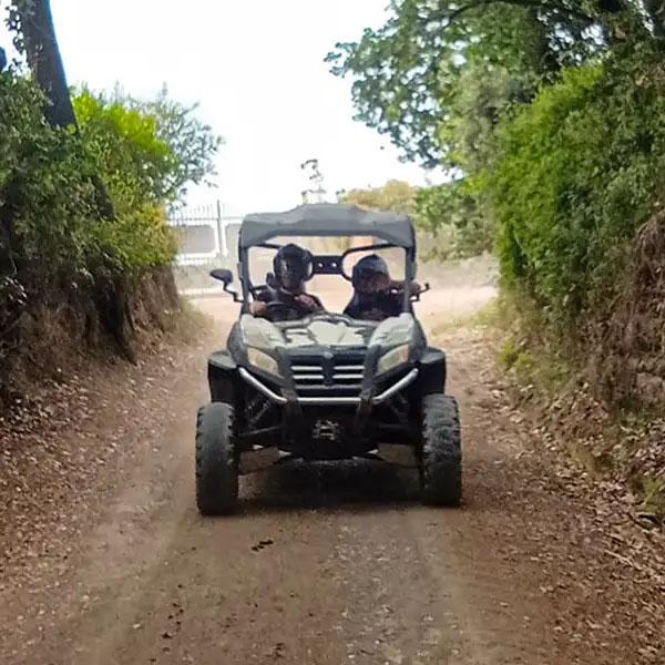 quad